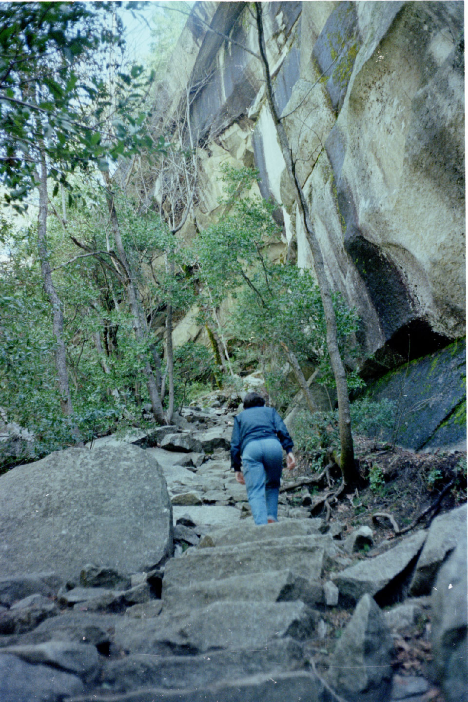 13-11.jpg, Yosemite Nat Park
California