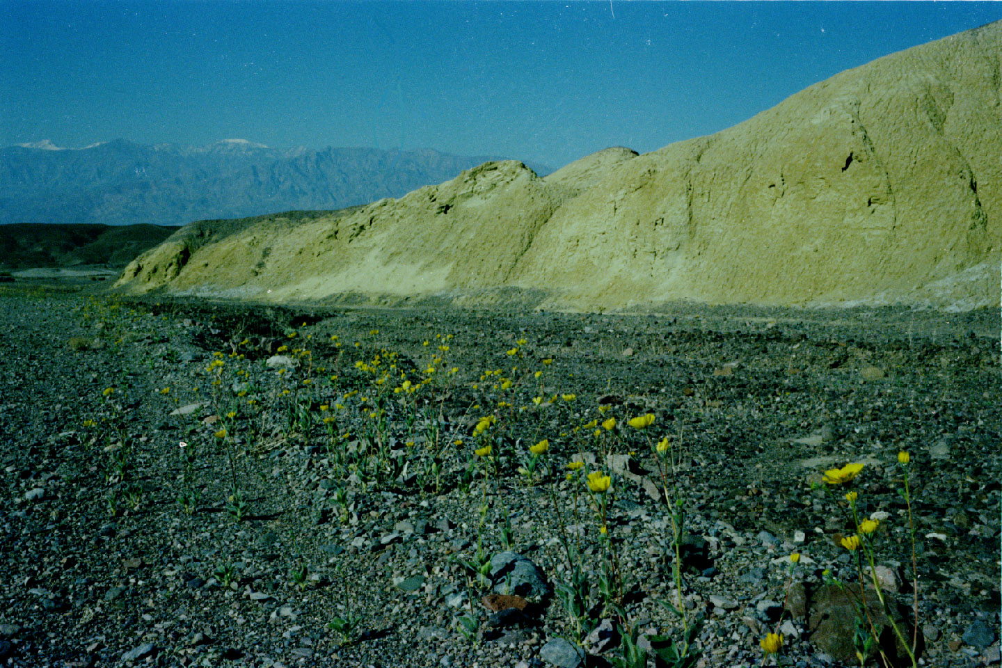 13-33.jpg, Death Valley
California