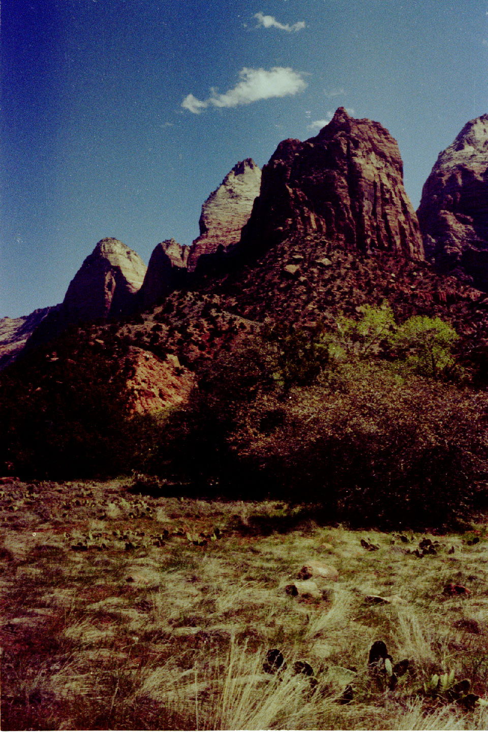 14-24.jpg, Zion Nat Park
Utah