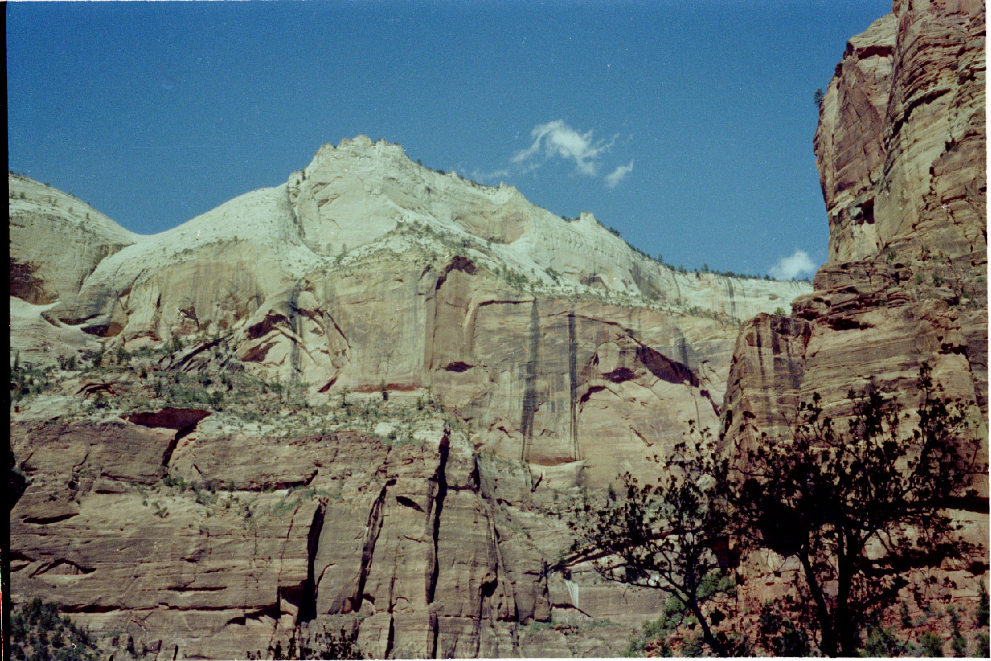 14-28.jpg, Zion Nat Park
Utah