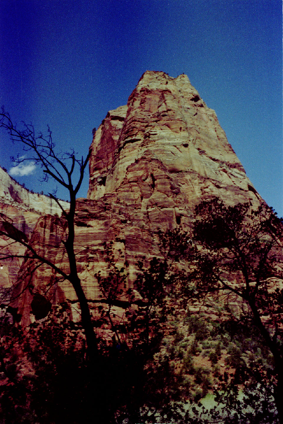 14-30.jpg, Zion Nat Park
Utah