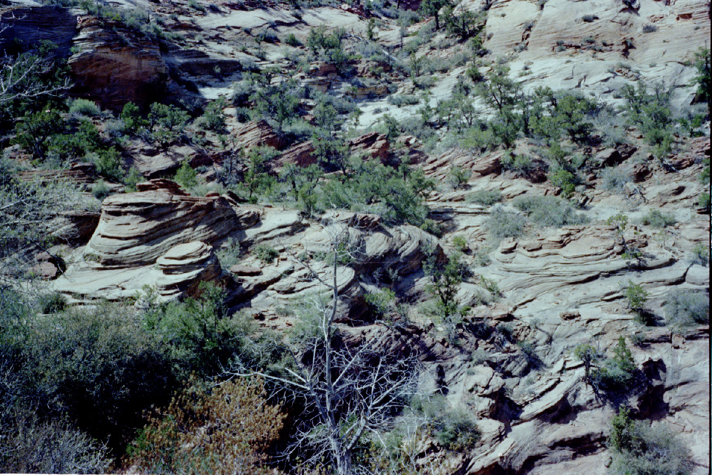 15-11.jpg, Zion Nat Park
Utah