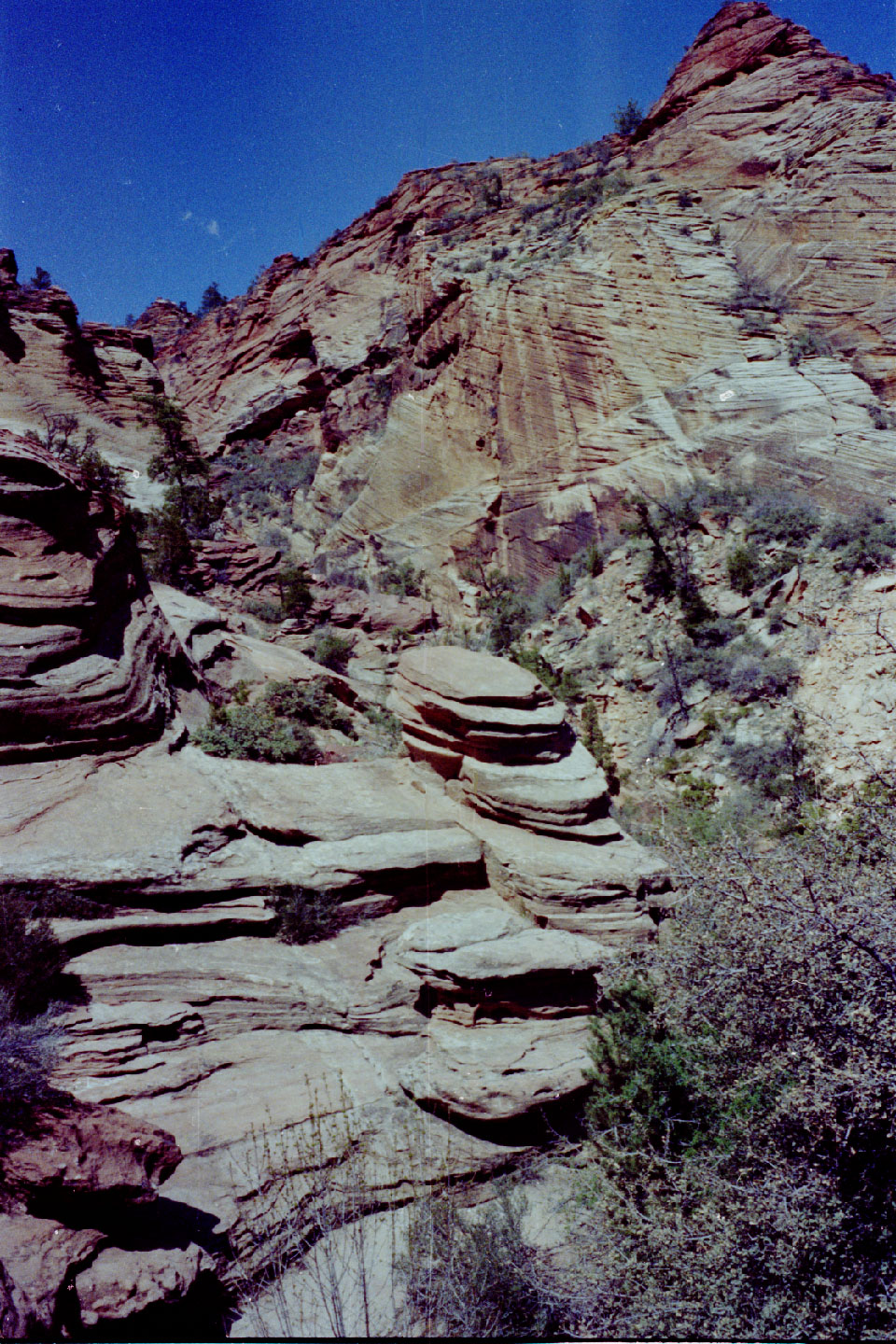 15-12.jpg, Zion Nat Park
Utah