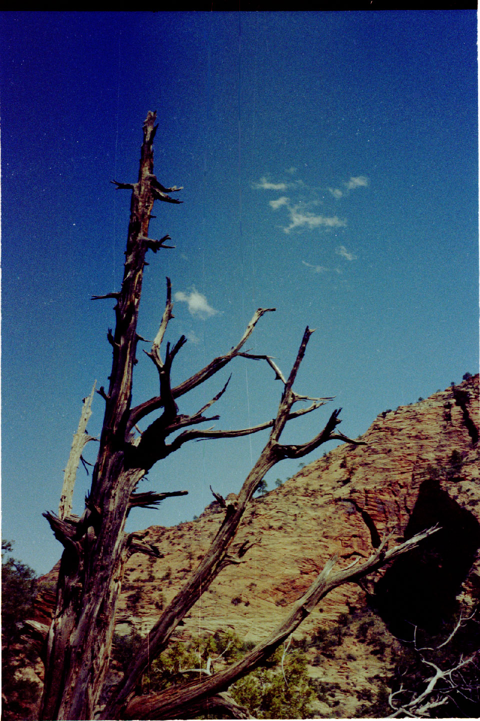 15-14.jpg, Zion Nat Park
Utah