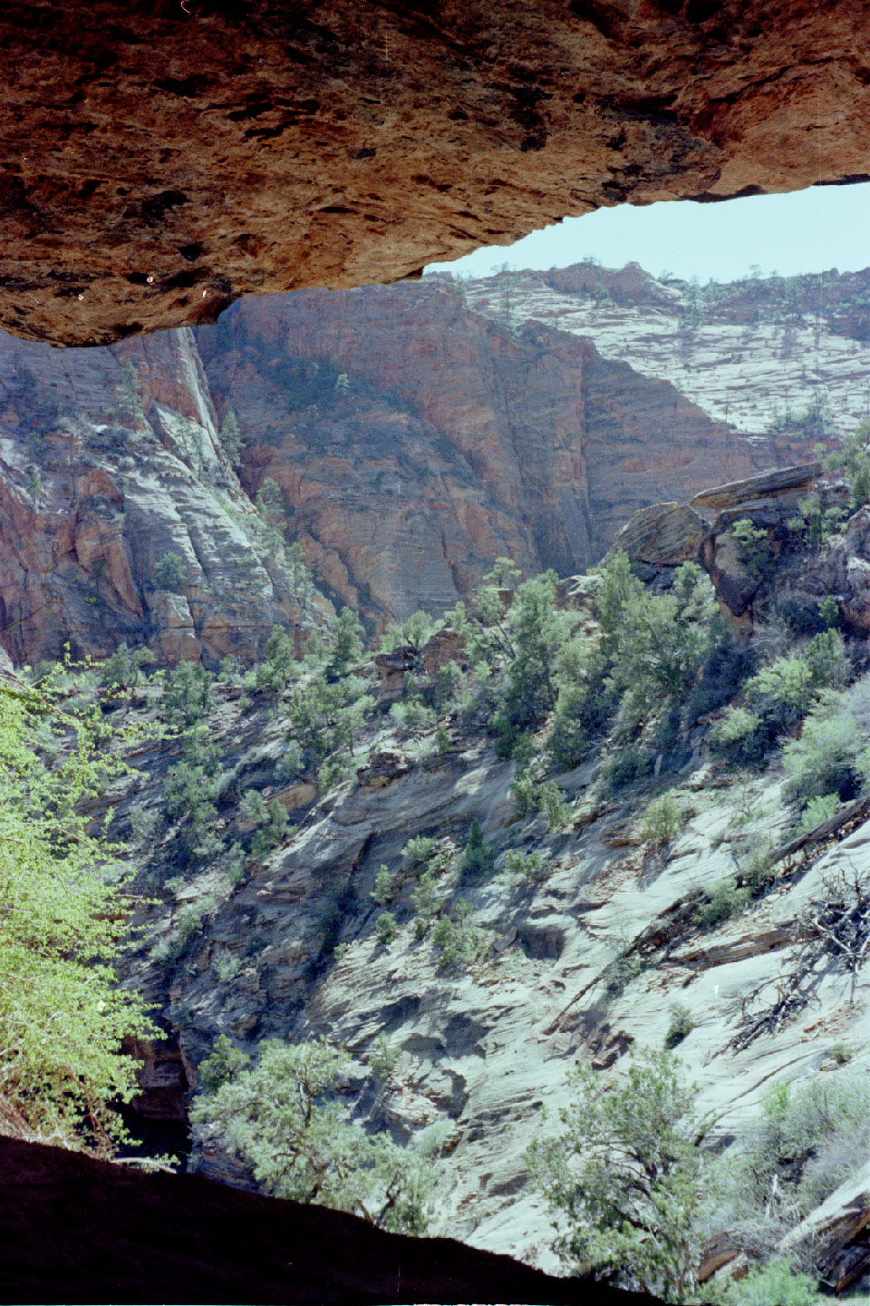 15-15.jpg, Zion Nat Park
Utah