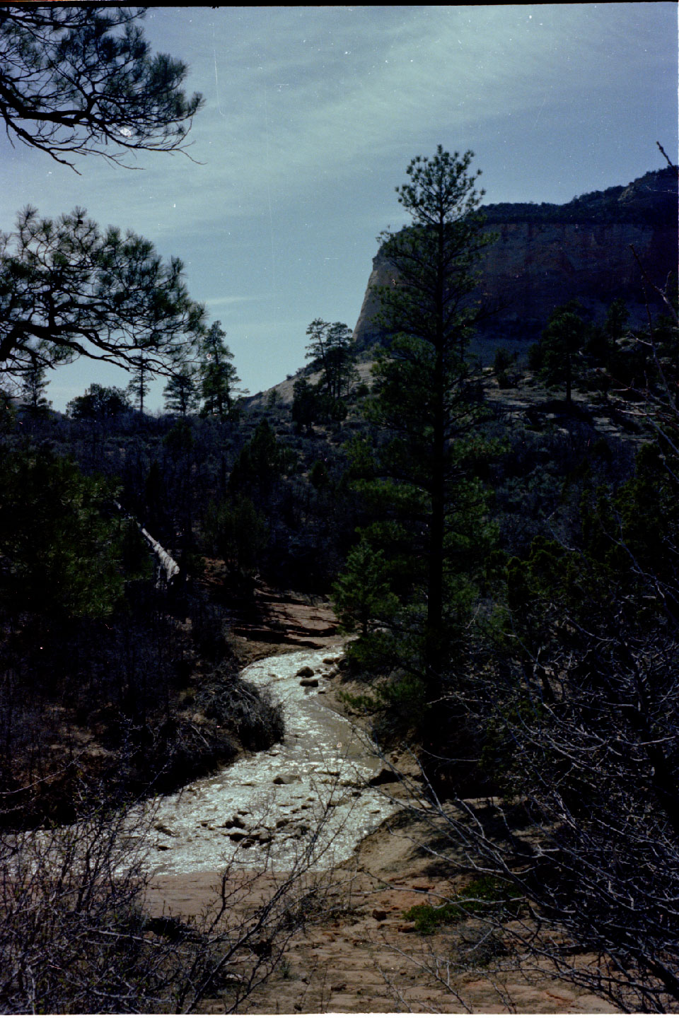 15-17.jpg, Zion Nat Park
Utah