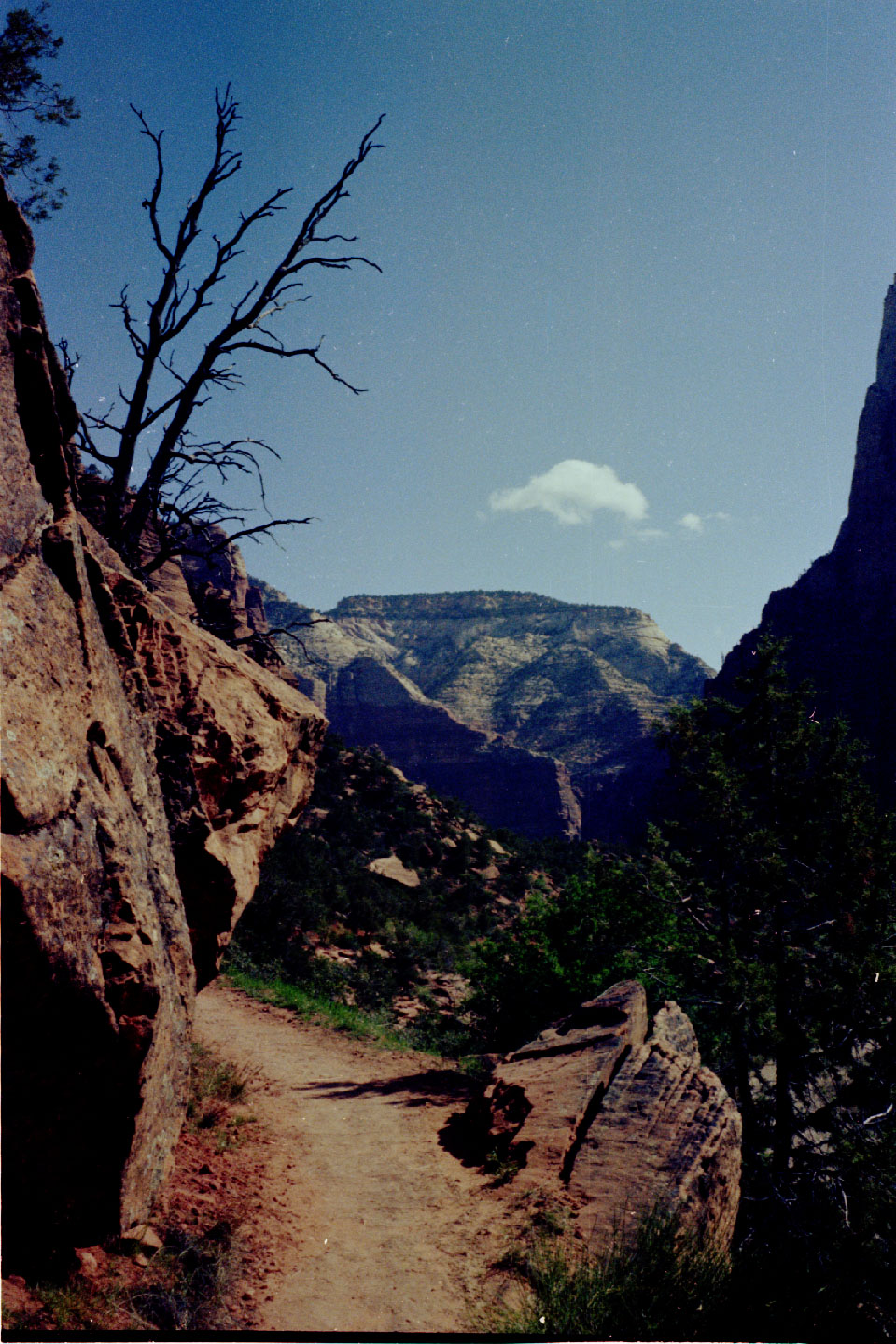 15-20.jpg, Zion Nat Park
Utah