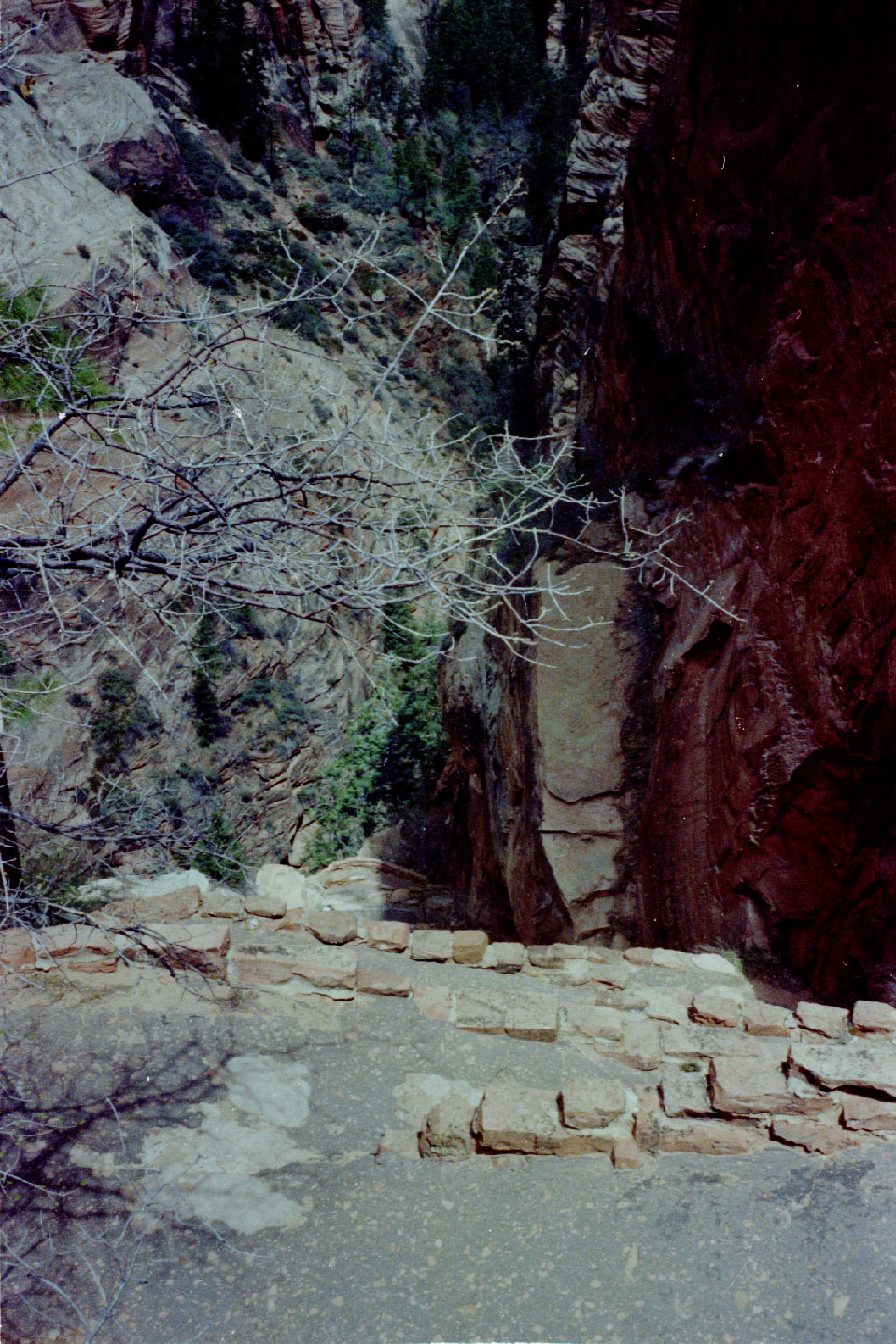 15-23.jpg, Zion Nat Park
Utah