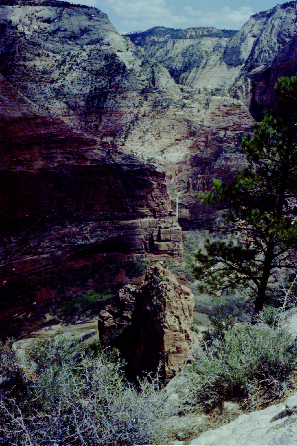 15-31.jpg, Zion Nat Park
Utah