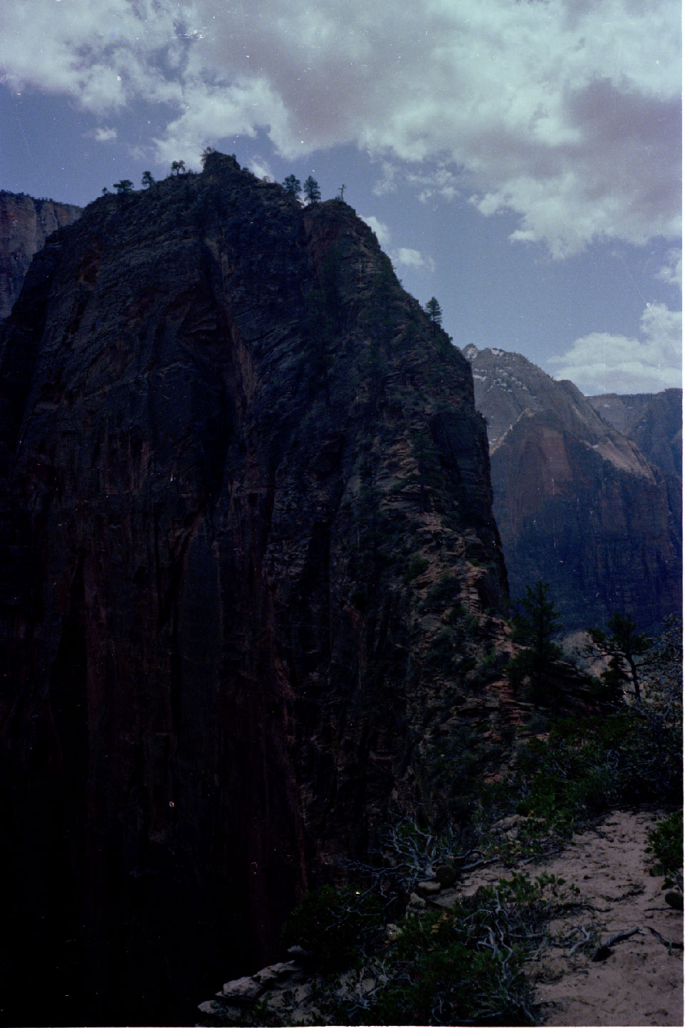 15-37.jpg, Zion Nat Park
Utah