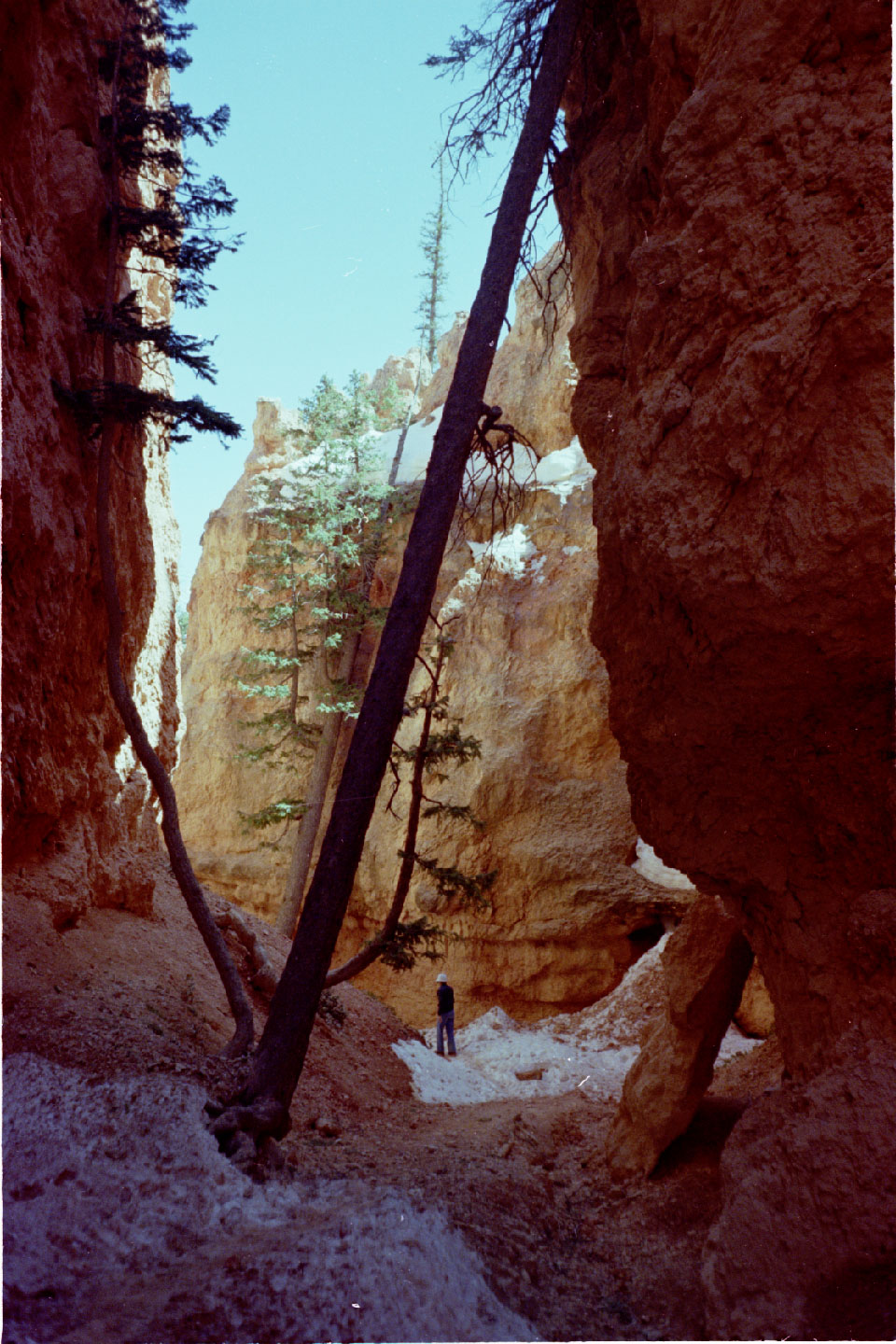 16-29.jpg, Bryce Canyon Nat Park
Utah