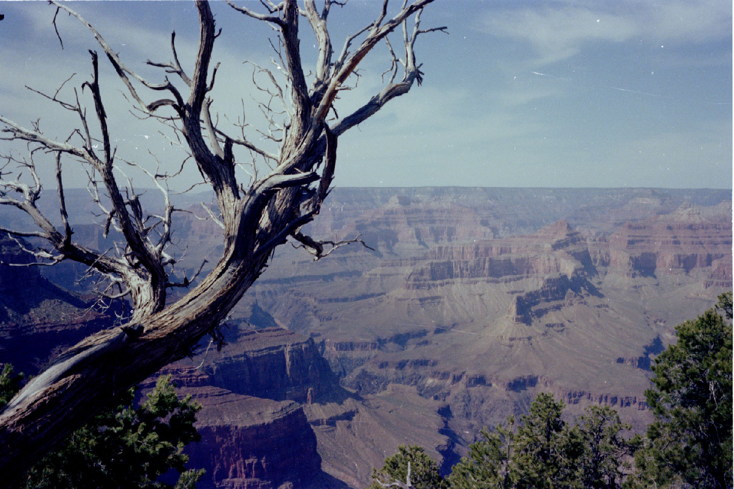 17-09.jpg, S. Kaibab Trail
Grand Canyon