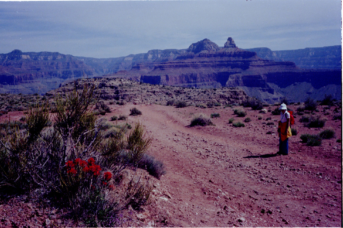 17-20.jpg, S. Kaibab Trail
Grand Canyon