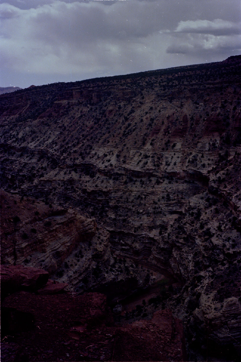 19-12.jpg, Capitol Reef
Utah