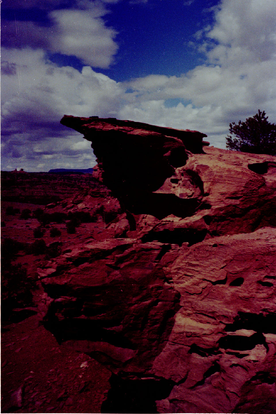 19-15.jpg, Capitol Reef
Utah