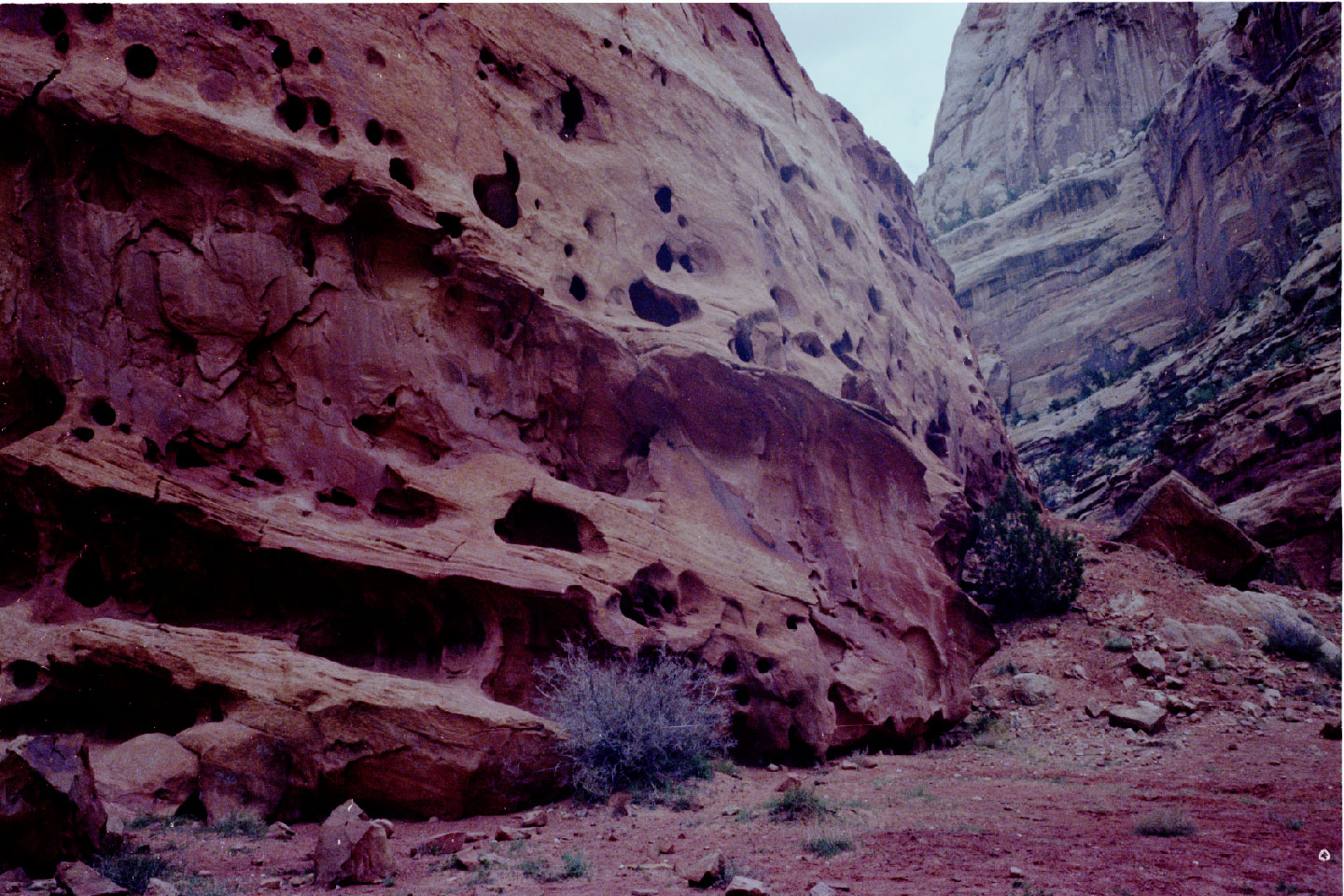 19-26.jpg, Capitol Reef
Utah