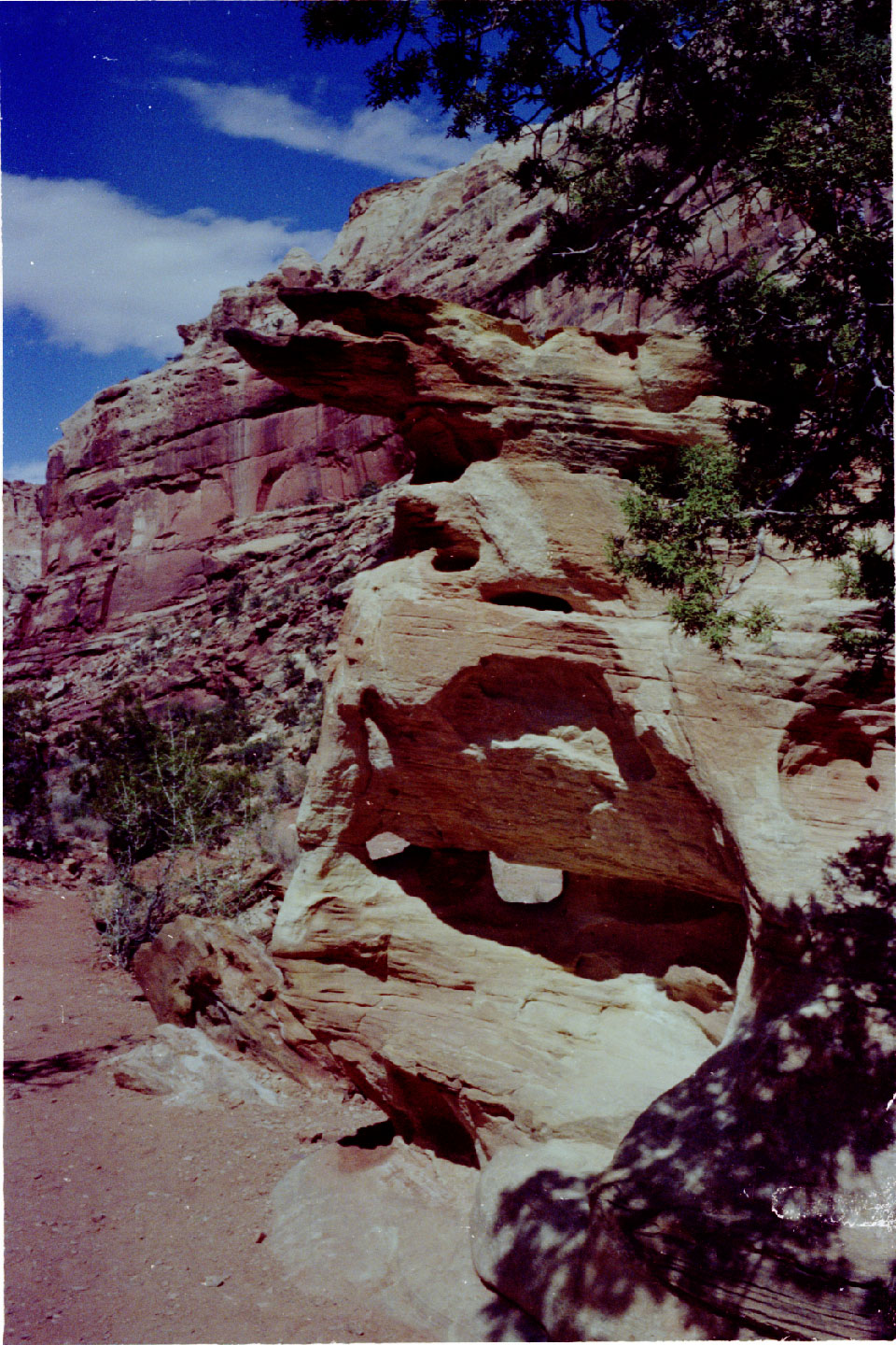 19-29.jpg, Capitol Reef
Utah