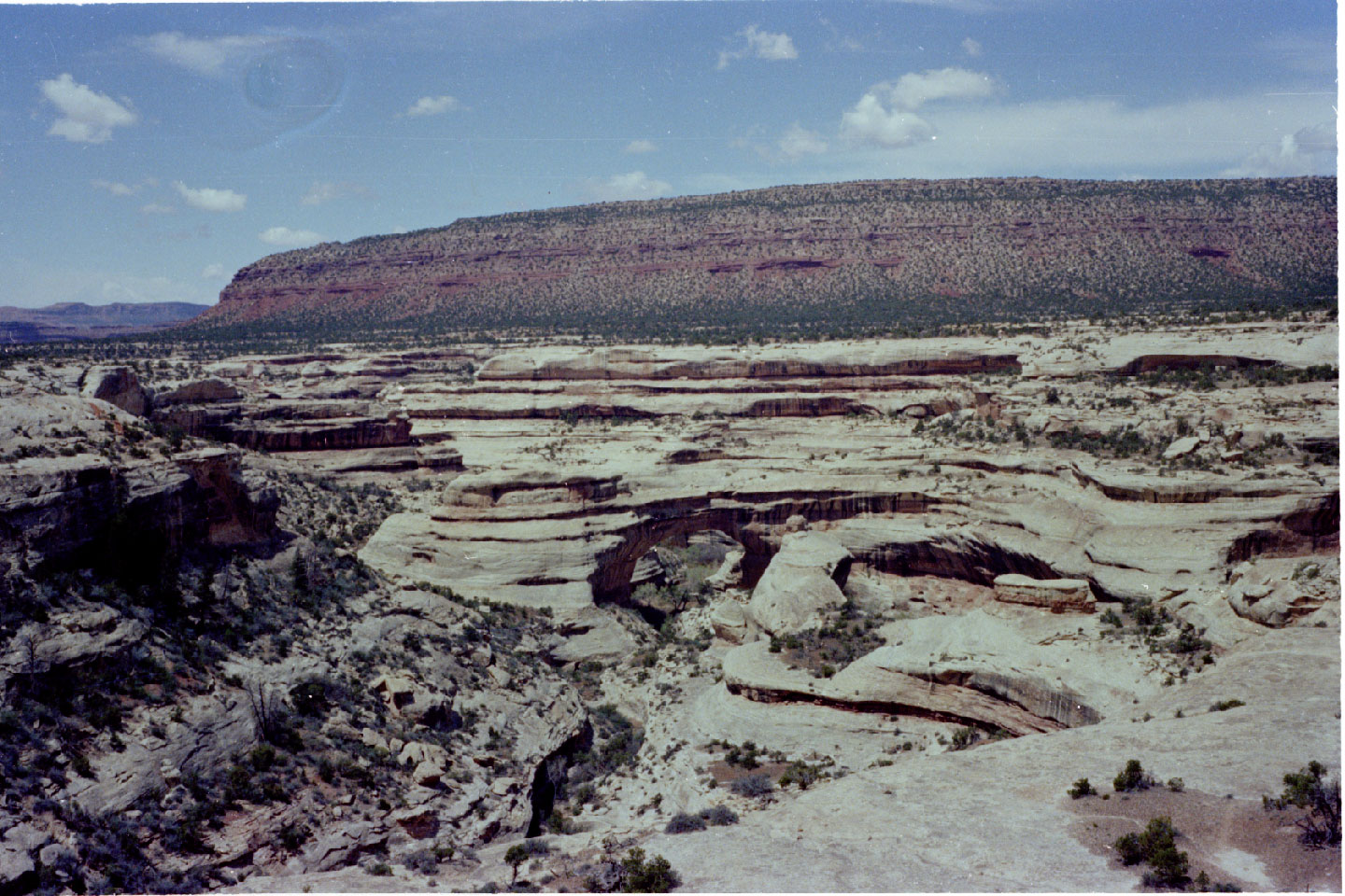 20-01.jpg, Natural Bridges Nat Mon
Utah