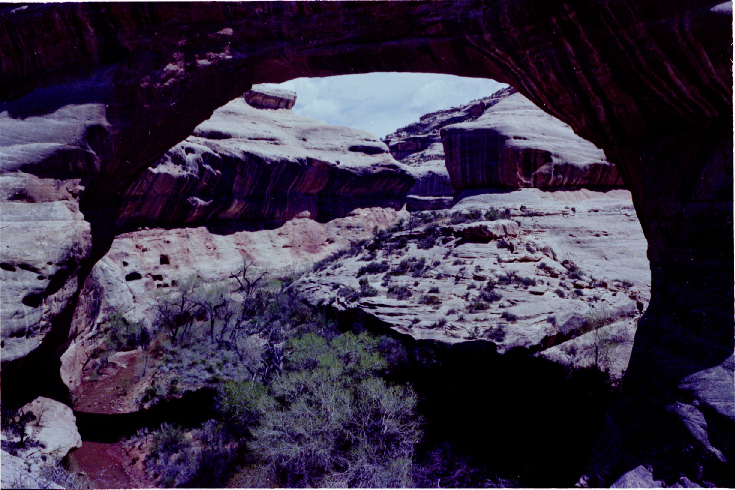 20-05.jpg, Natural Bridges Nat Mon
Utah