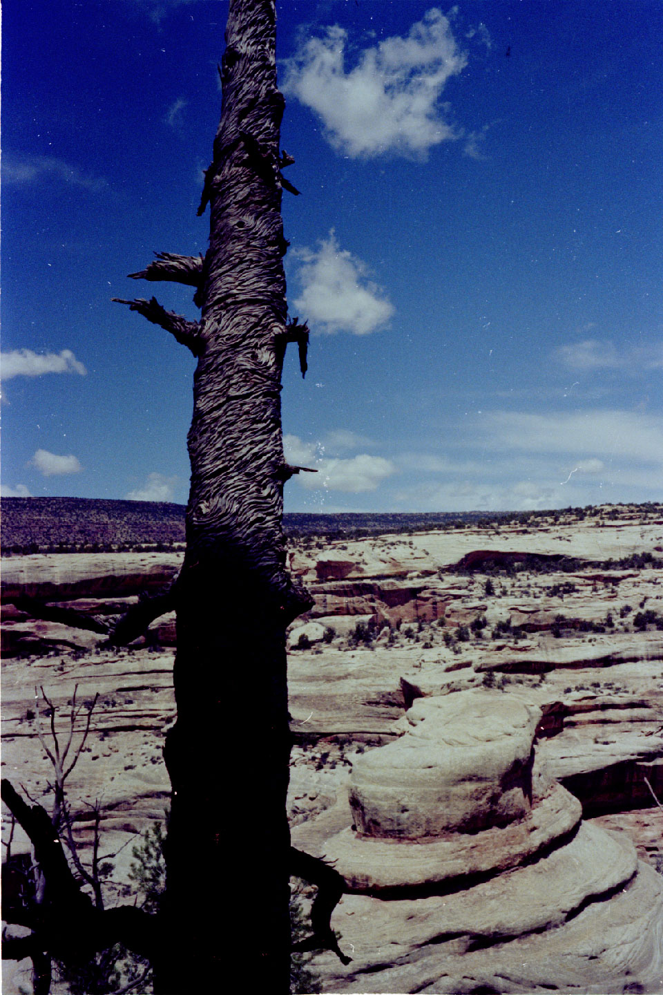 20-06.jpg, Natural Bridges Nat Mon
Utah