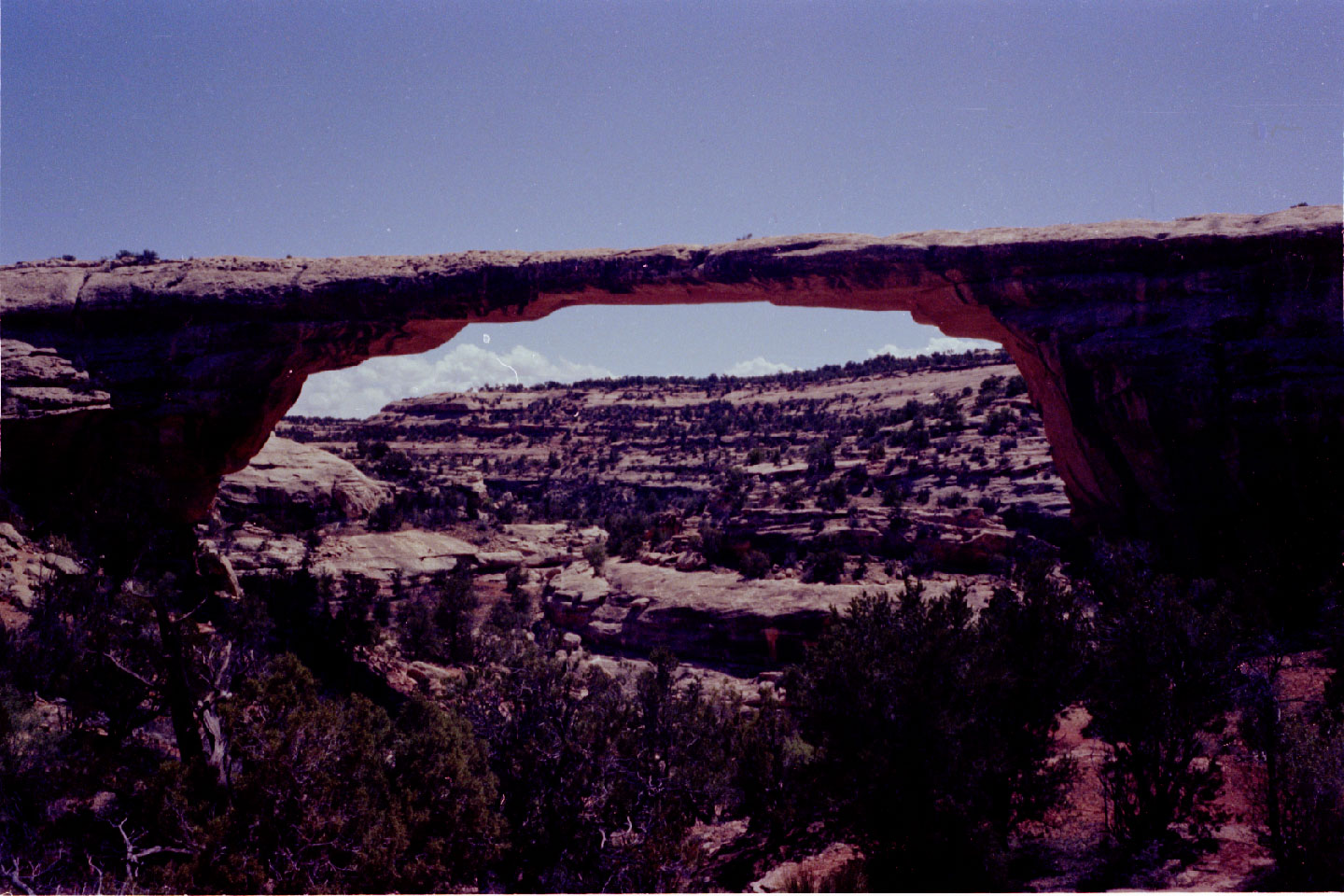 20-07.jpg, Natural Bridges Nat Mon
Utah