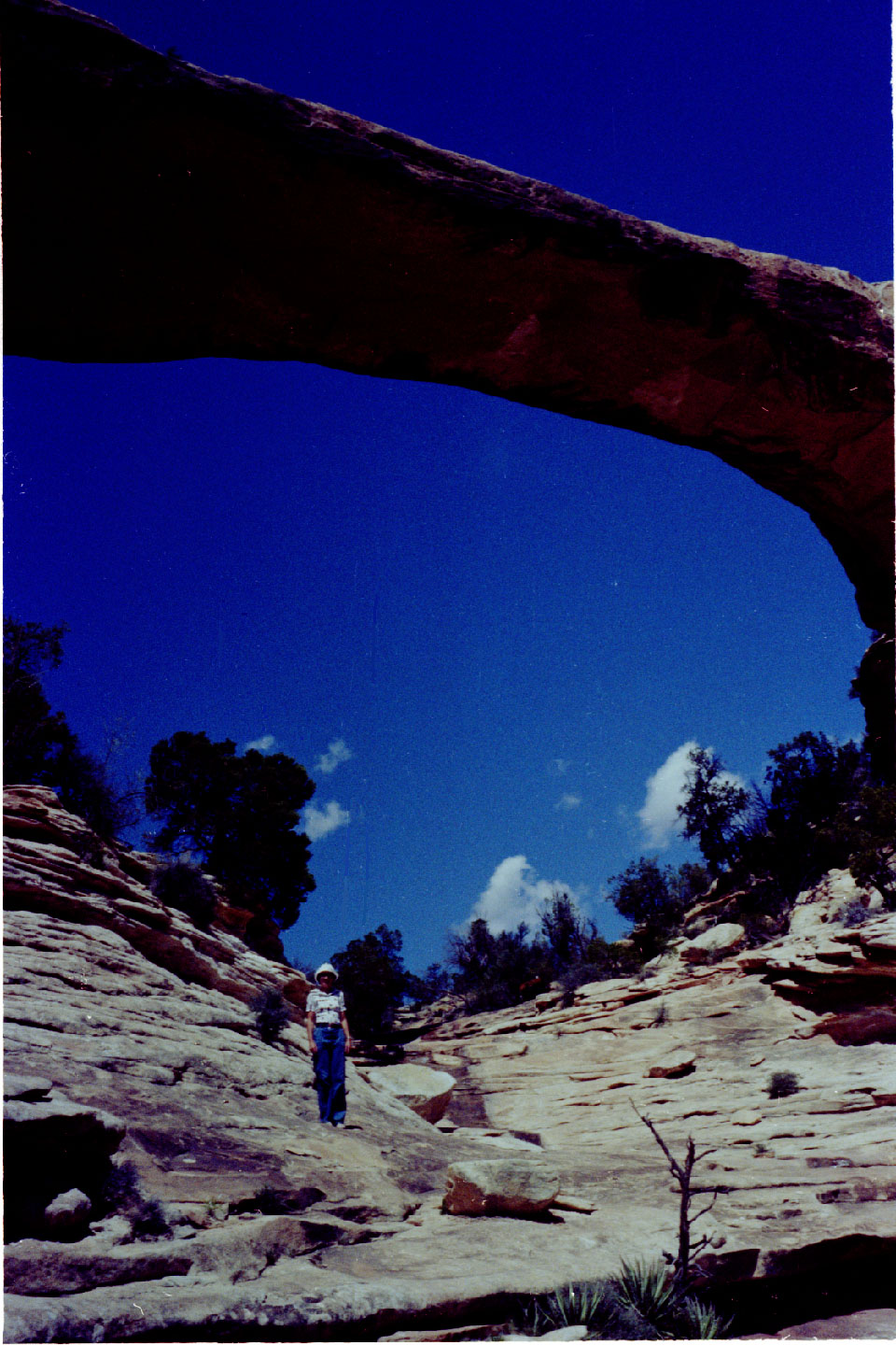 20-09.jpg, Natural Bridges Nat Mon
Utah