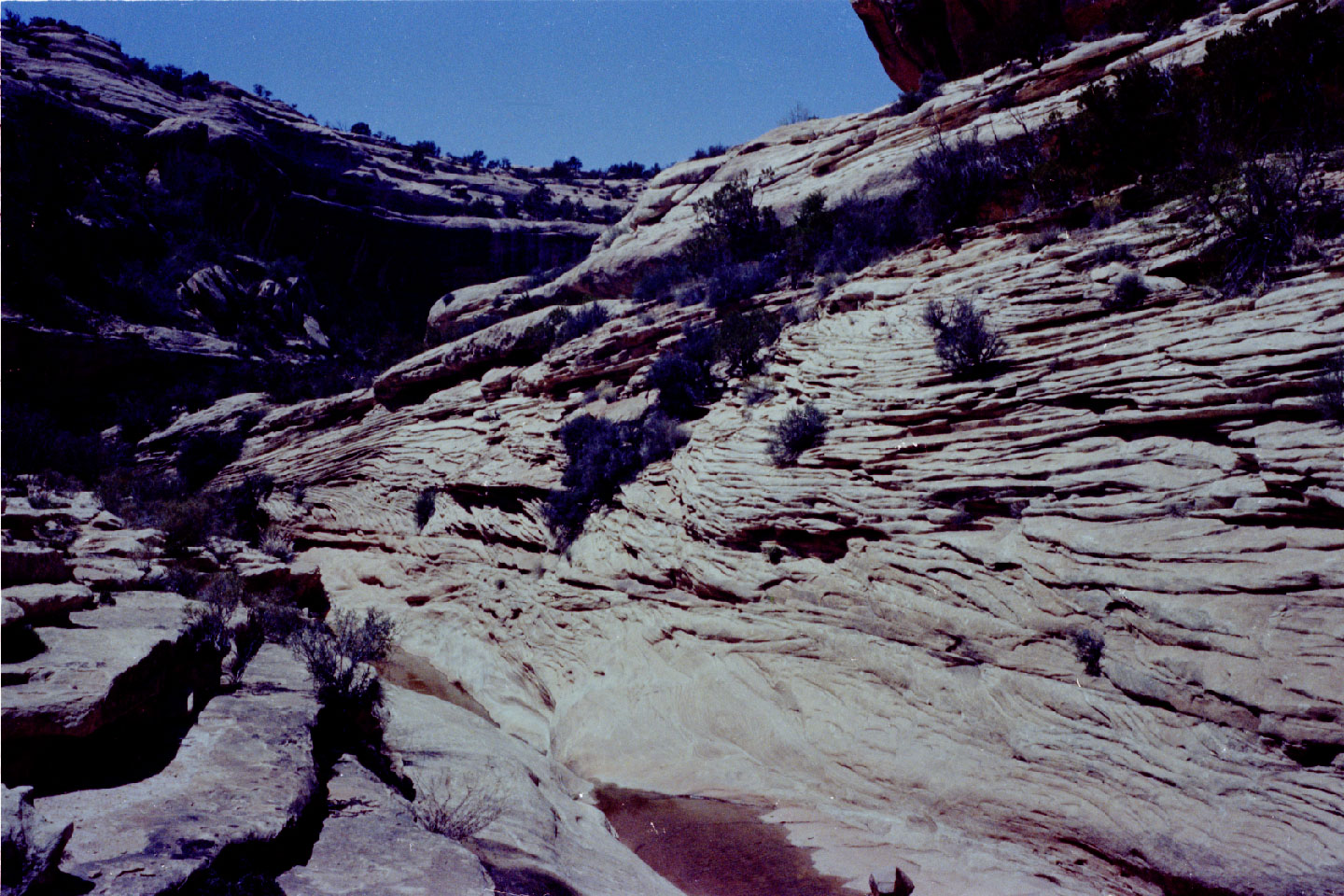 20-10.jpg, Natural Bridges Nat Mon
Utah