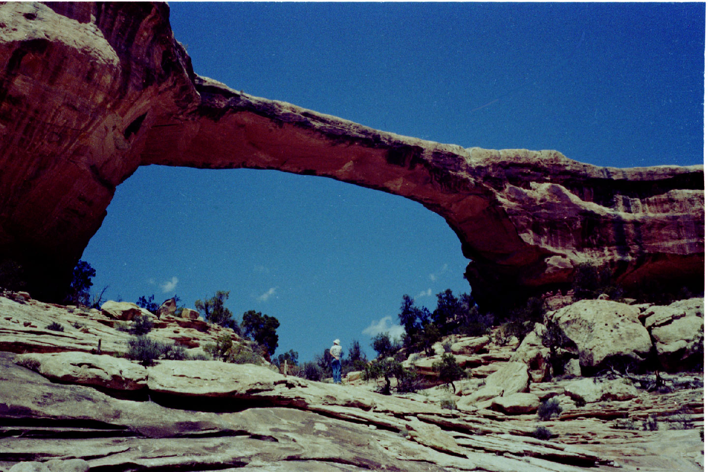 20-11.jpg, Natural Bridges Nat Mon
Utah