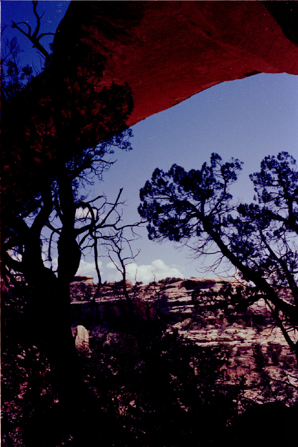 20-12.jpg, Natural Bridges Nat Mon
Utah