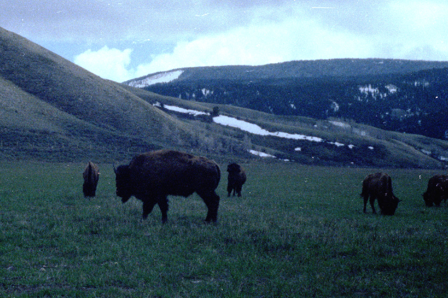 22-05.jpg, Grand Tetons Nat Park
Wyoming