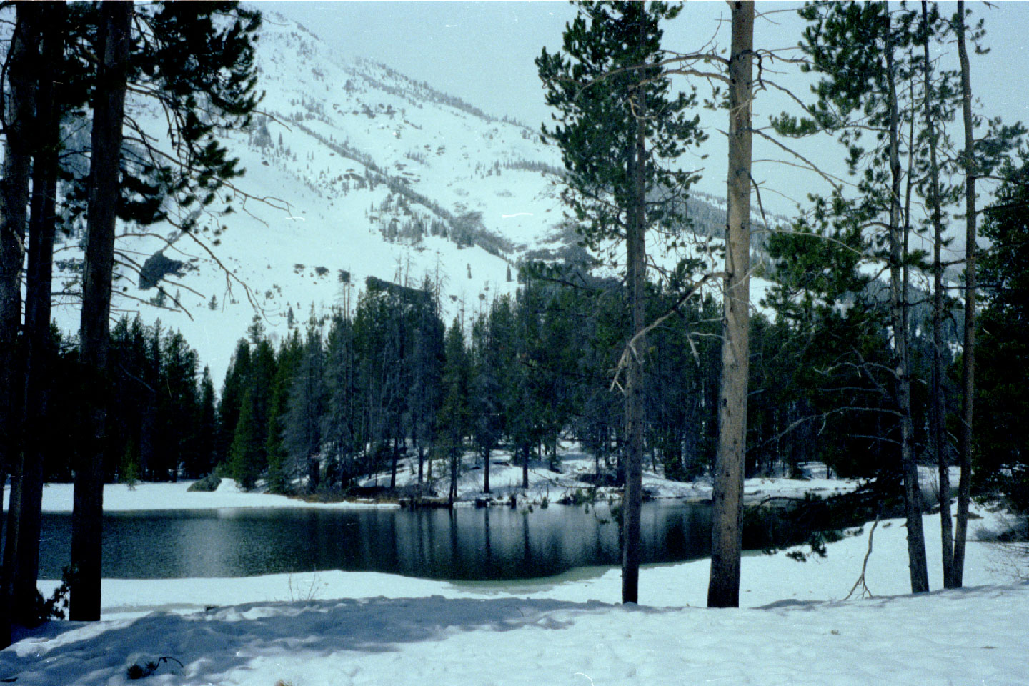 22-07.jpg, Grand Tetons Nat Park
Wyoming