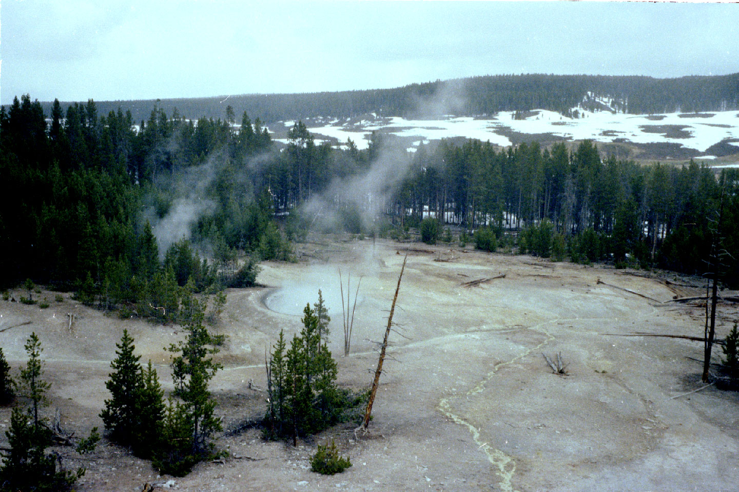 22-29.jpg, Yellowstone Nat Park
Wyoming