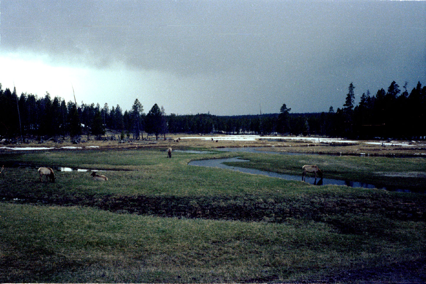 23-10.jpg, Yellowstone Nat Park
Wyoming