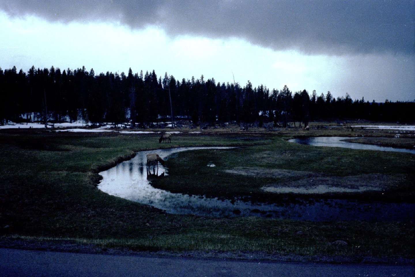 23-11.jpg, Yellowstone Nat Park
Wyoming