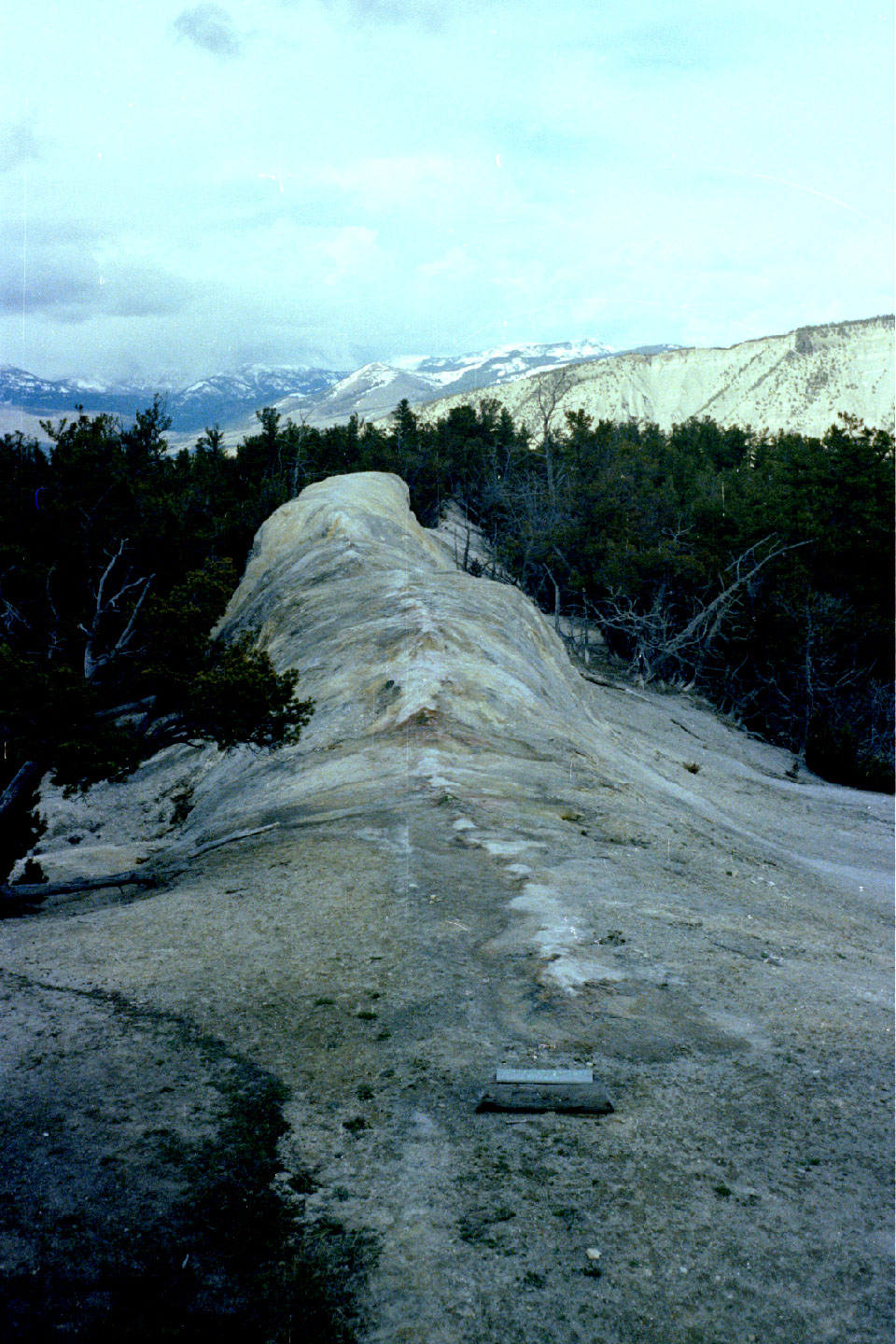 23-17.jpg, Yellowstone Nat Park
Wyoming