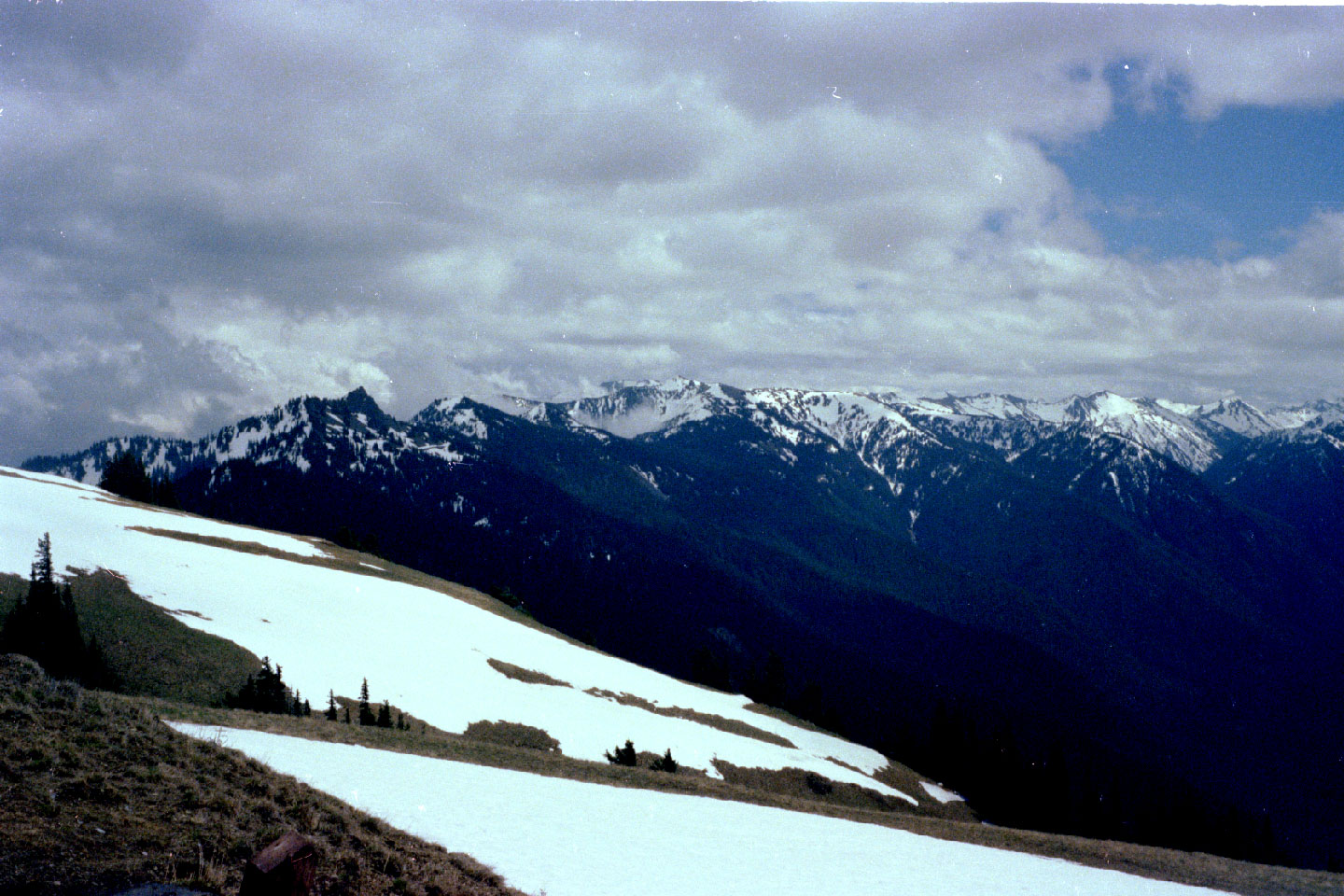 24-11.jpg, Hurricane Ridge
Olympic Nat Park
Washington