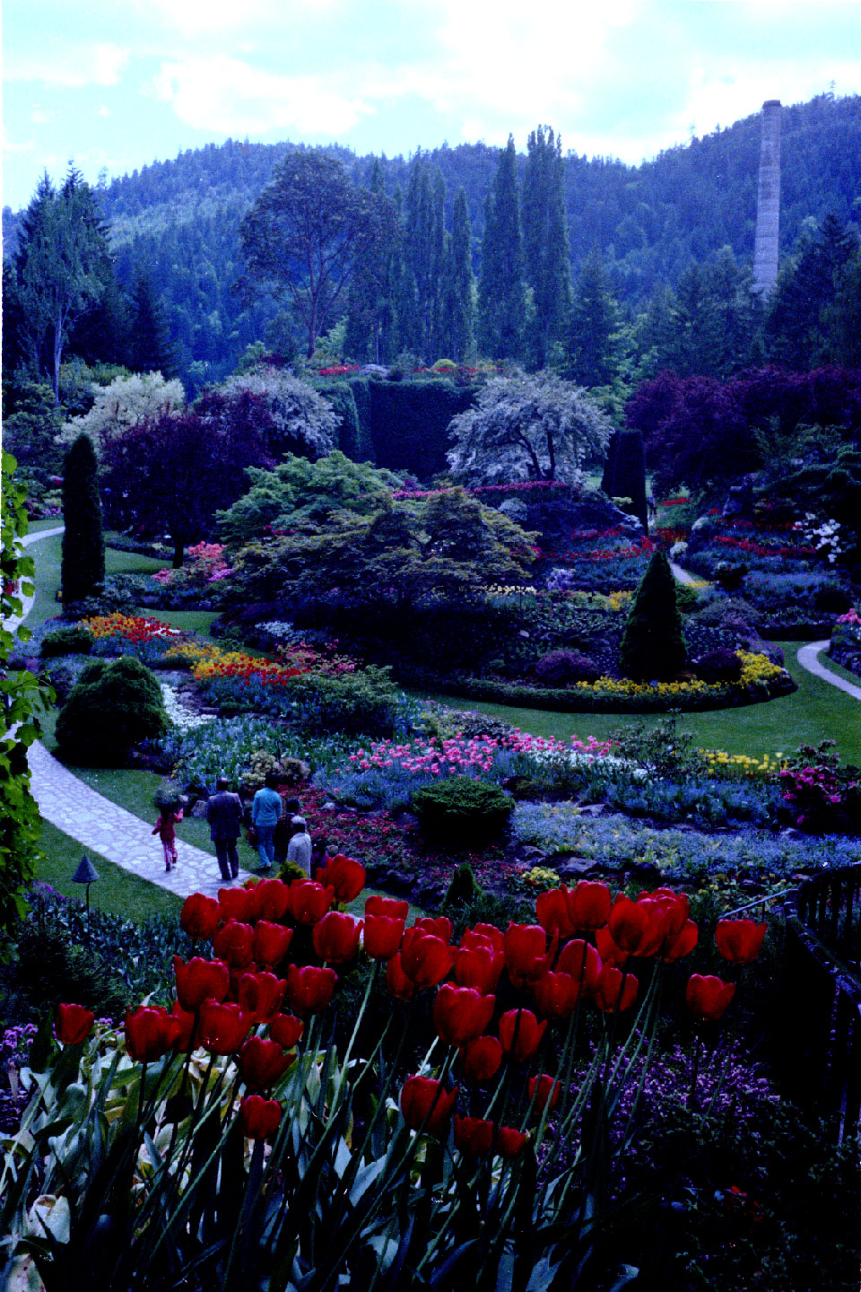 24-12.jpg, Butchart Gardens
Victoria