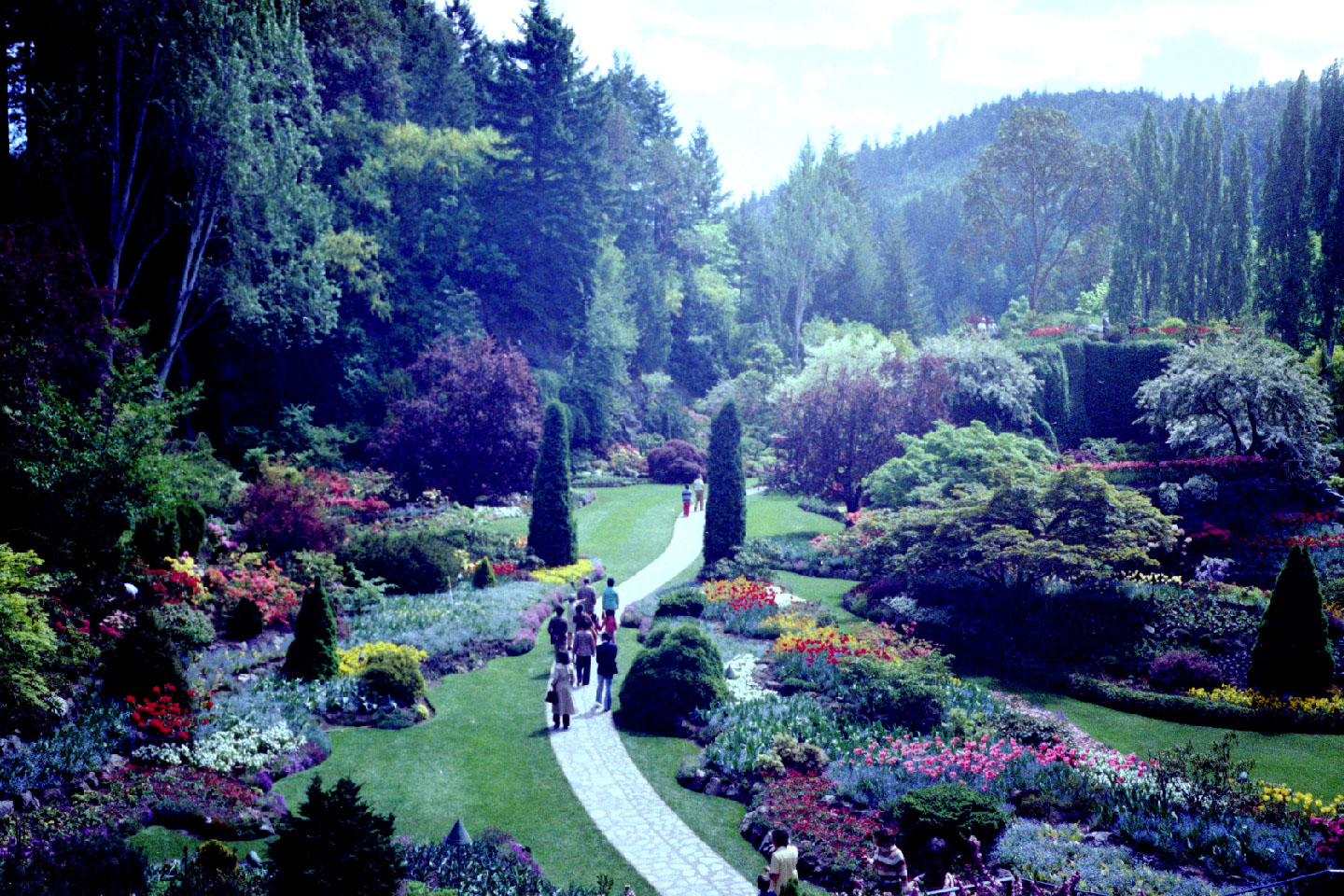 24-13.jpg, Butchart Gardens
Victoria