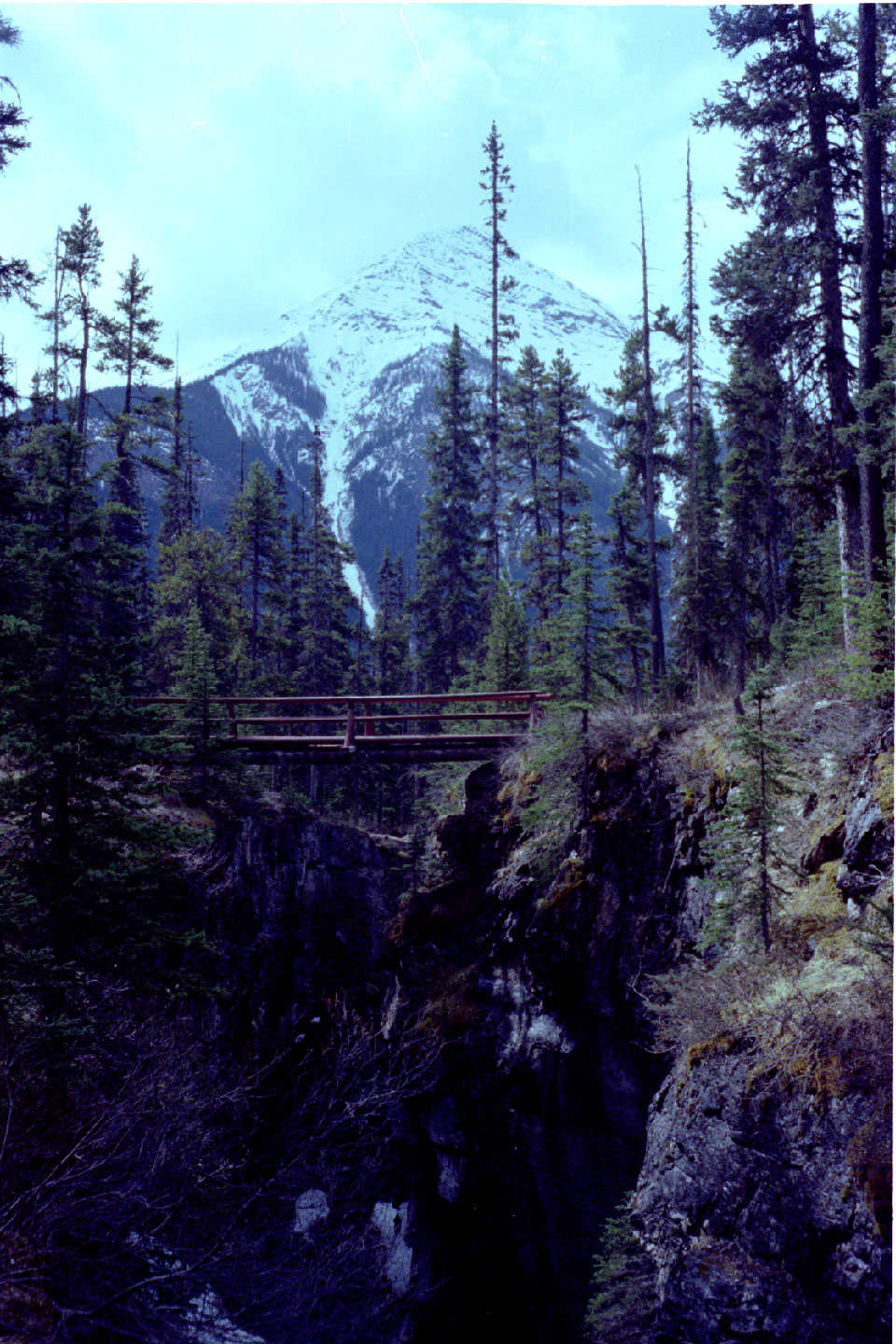 24-19.jpg, Kootenay Nat Park
BC