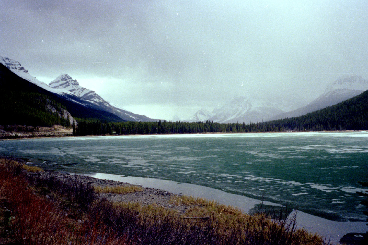 24-27.jpg, Banff to Jasper