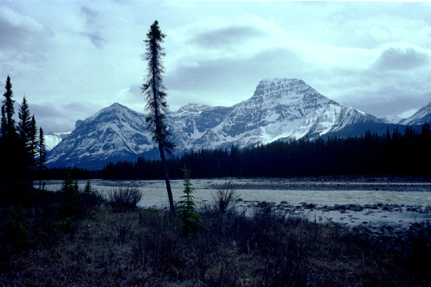 25-05.jpg, Jasper-Banff