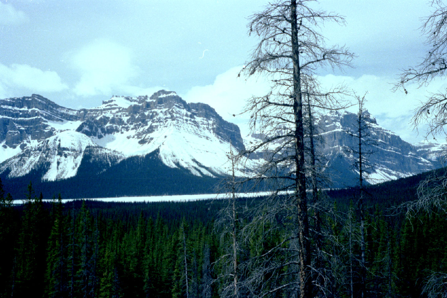 25-25.jpg, Jasper-Banff