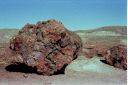 _07-04.jpg, Petrified Forest
Arizona