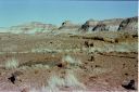 _07-06.jpg, Petrified Forest
Arizona