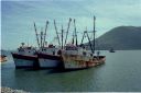 _08-09.jpg, Topolobampo Bay
Mexico