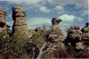 _11-17.jpg, Chiricahua Nat Mon
Arizona