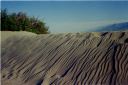 _13-31.jpg, Death Valley
California