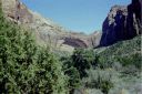 _15-05.jpg, Zion Nat Park
Utah