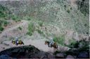 _18-28.jpg, Bright Angel Trail
Grand Canyon