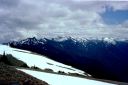 _24-11.jpg, Hurricane Ridge
Olympic Nat Park
Washington